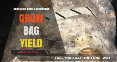 Maximizing Mushroom Harvest: Understanding Grow Bag Yield Potential