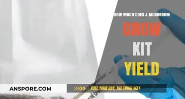 Maximizing Your Mushroom Harvest: Yield Expectations from Grow Kits