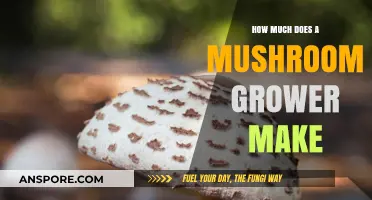Profitable Mushroom Farming: Unveiling the Earnings of a Mushroom Grower