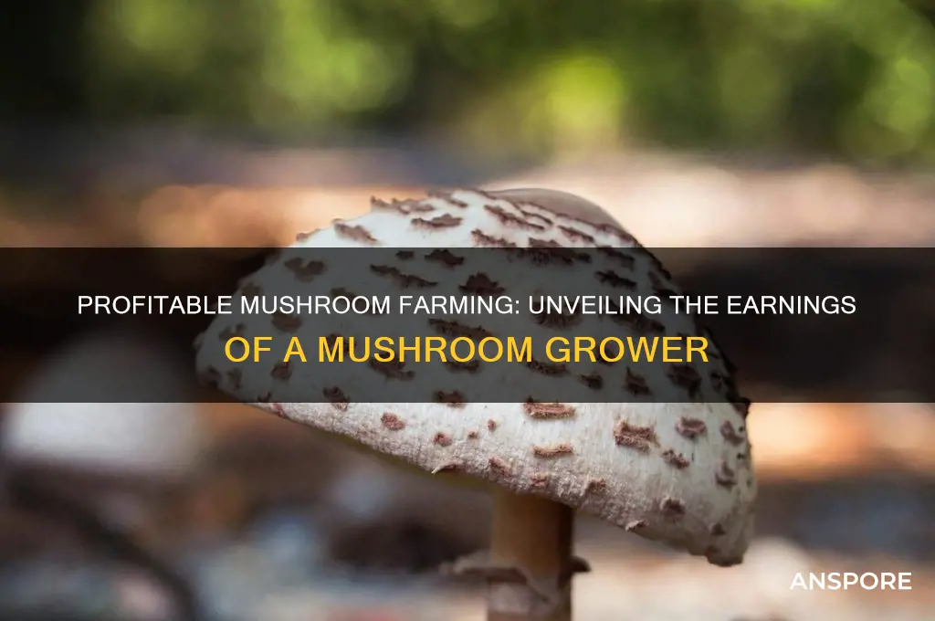 how much does a mushroom grower make