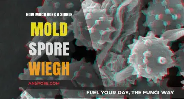 Unveiling the Astonishing Weight of a Single Mold Spore