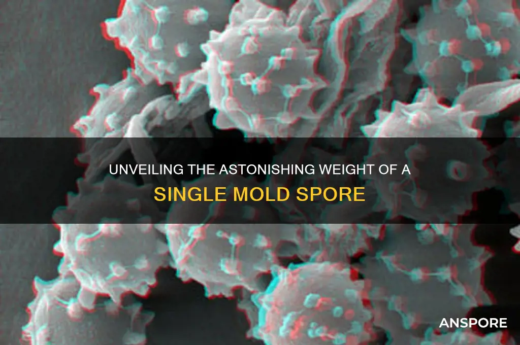 how much does a single mold spore wiegh