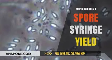 Spore Syringe Yield: Maximizing Mushroom Growth Potential Explained