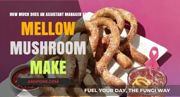 Assistant Manager Salary at Mellow Mushroom: What to Expect