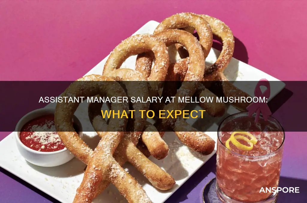 how much does an assistant manager at mellow mushroom make