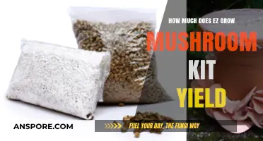 Maximize Your Harvest: Ez Grow Mushroom Kit Yield Explained