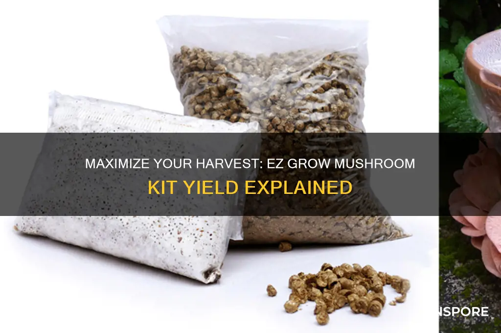 how much does ez grow mushroom kit yield