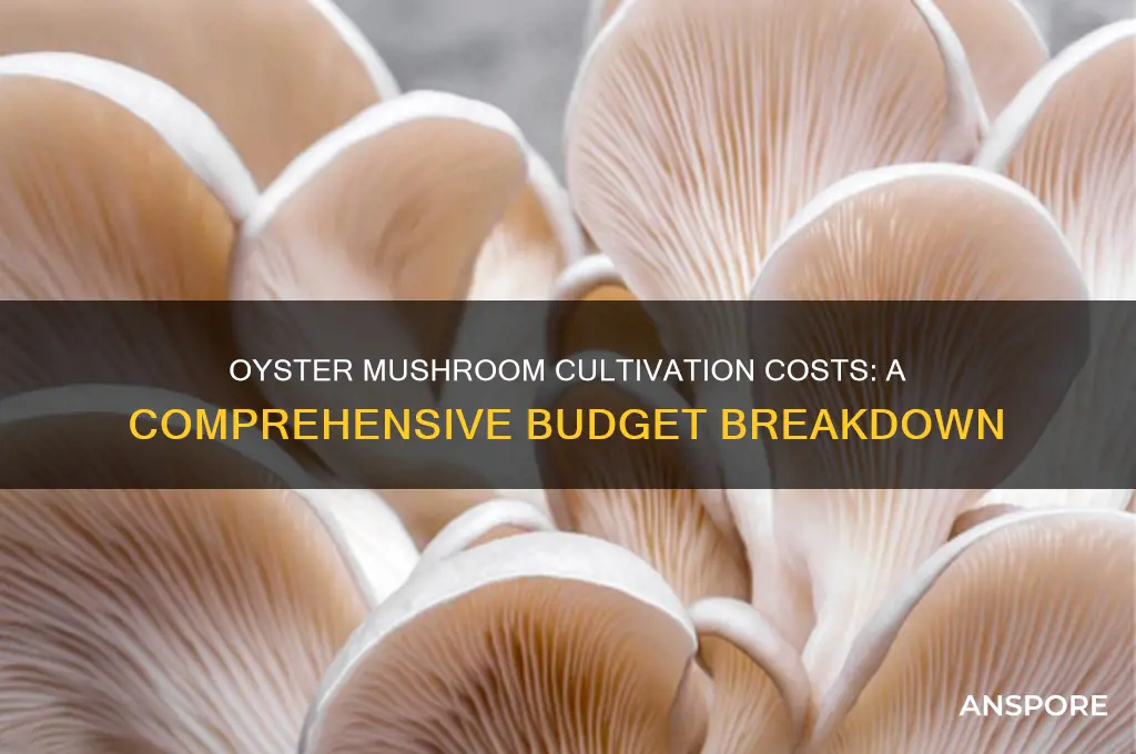 how much does it cost to grow oyster mushrooms