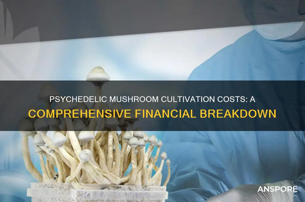 how much does it cost to grow psychedelic mushrooms