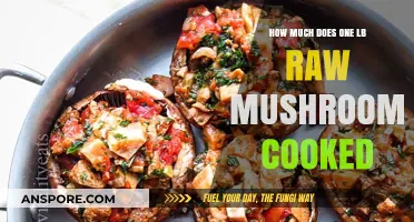 Cooking Raw Mushrooms: Understanding the Weight Change of 1 Pound