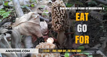 Cost of Mushrooms: How Much Does a Pound Set You Back?