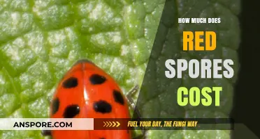 Red Spores Pricing Guide: Understanding Costs and Value