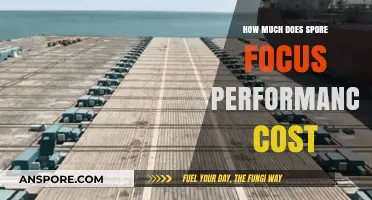 Spore Focus Performance Cost: Pricing Details and Value Analysis