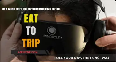 Dried Psilocybin Mushrooms Dosage Guide: How Much to Trip Safely