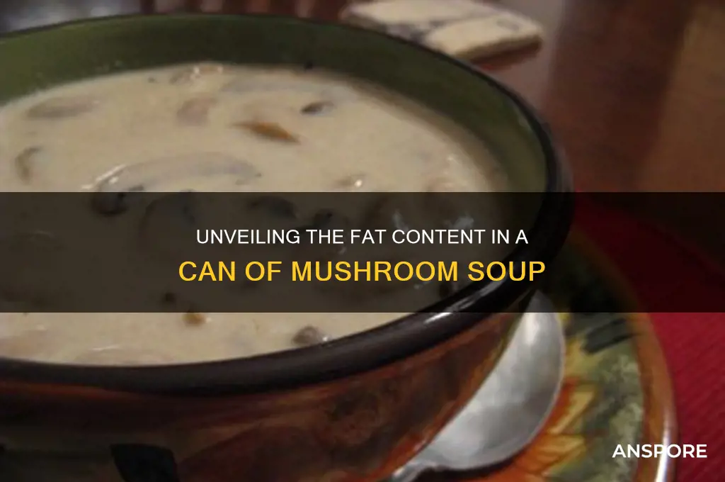 how much fat is in a can of mushroom soup