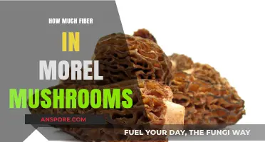 Discover the Surprising Fiber Content in Morel Mushrooms