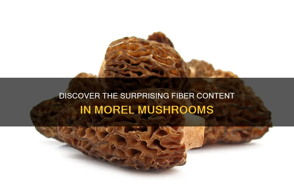 how much fiber in morel mushrooms