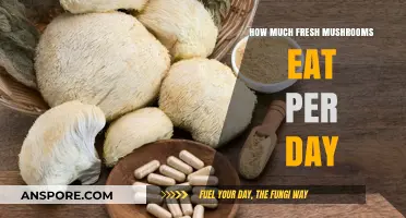 Daily Fresh Mushroom Intake: Optimal Amounts for Health and Nutrition
