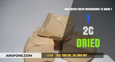 Fresh to Dried Mushroom Conversion: Perfect Ratio for 1 1/2 Cups