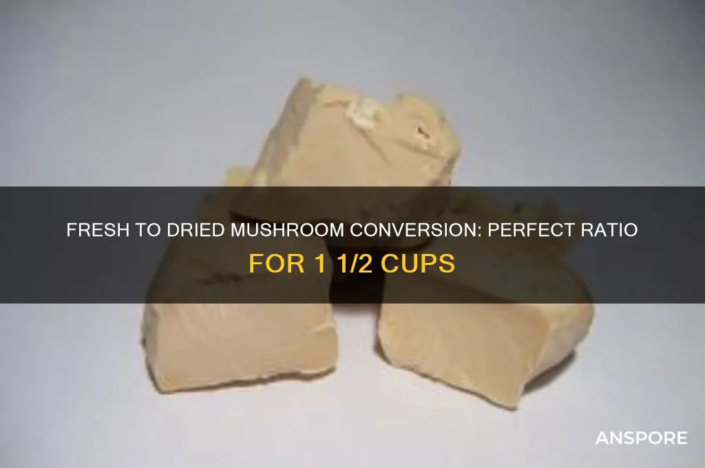 how much fresh mushrooms to make 1 1 2c dried