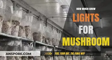 Optimal Grow Light Setup for Mushroom Cultivation: A Comprehensive Guide