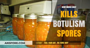 Heat Treatment: Eliminating Botulism Spores Safely and Effectively