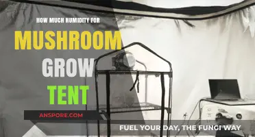 Optimal Humidity Levels for Thriving Mushrooms in Your Grow Tent