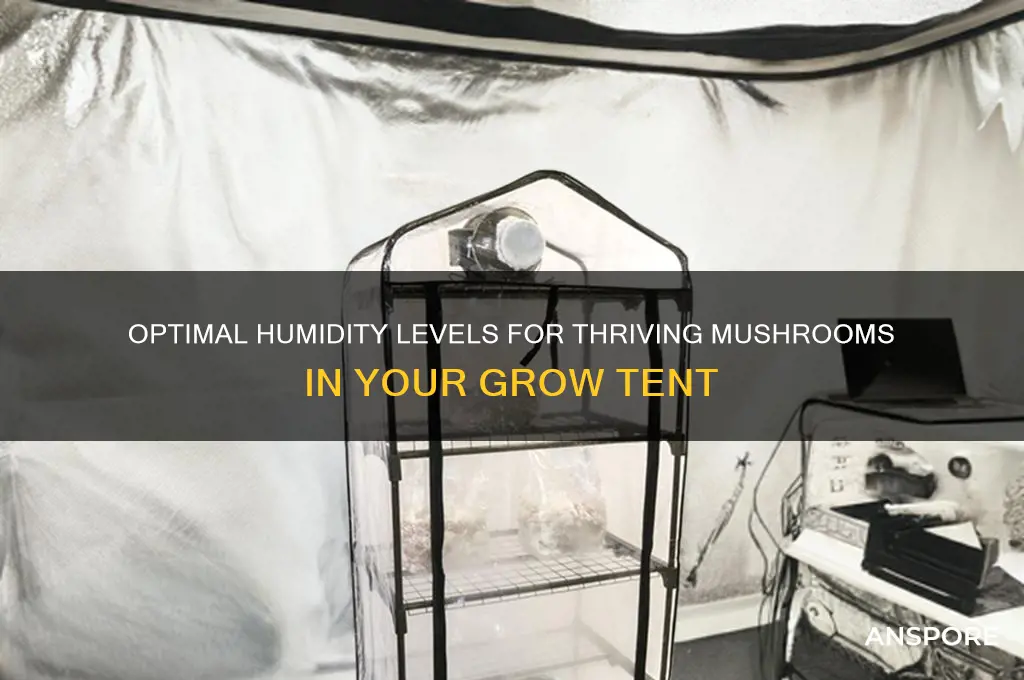how much humidity for mushroom grow tent