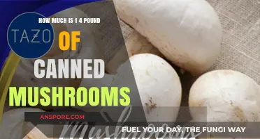 Understanding the Cost of 1/4 Pound Canned Mushrooms: A Budget-Friendly Guide
