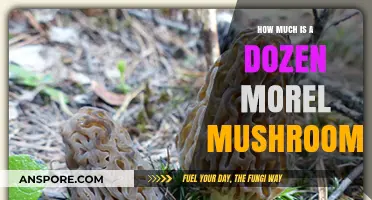 Morel Mushrooms: Unveiling the Cost of a Dozen Delicacies