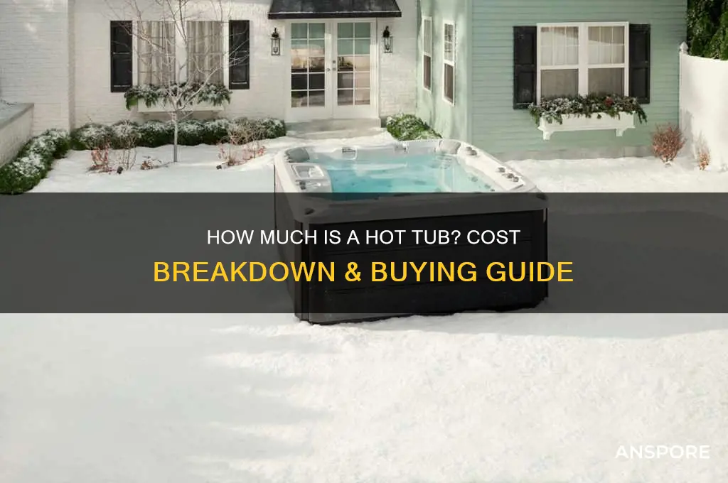 how much is a hot spor