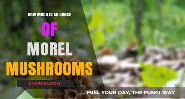 Morel Mushrooms: Unveiling the Price of a Precious Ounce