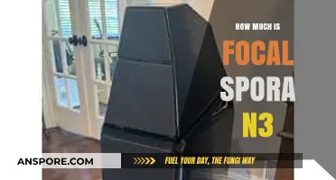 Focal Spora N3 Price Guide: How Much Does It Cost?