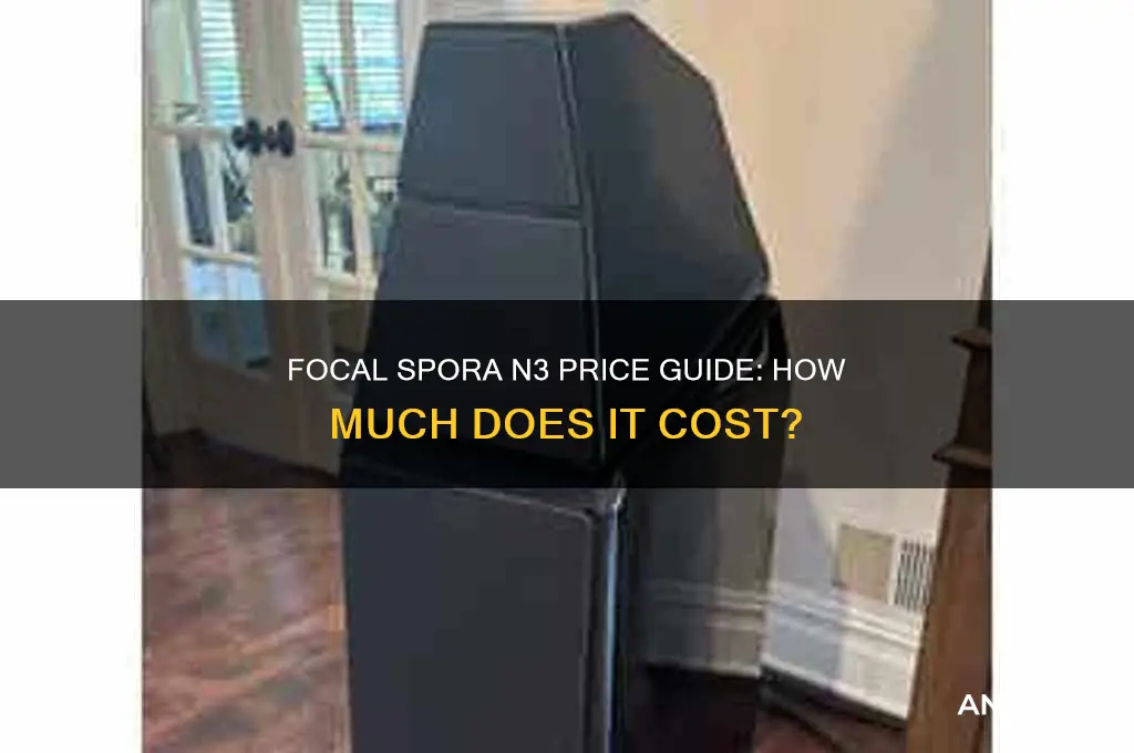how much is focal spora n3