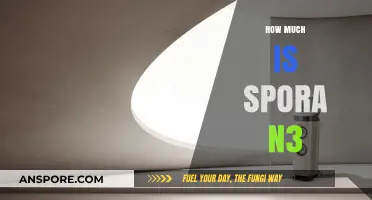 Spora N3 Price Guide: Understanding the Cost and Value