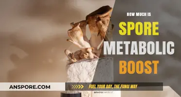 Spore Metabolic Boost: Unlocking Weight Loss and Energy Benefits