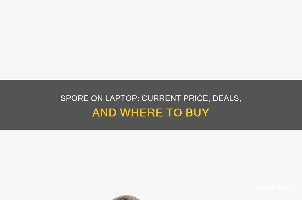 how much is spore on laptop