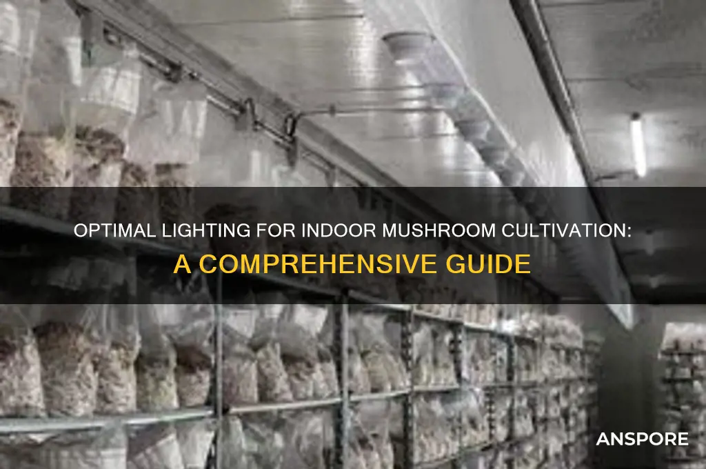 how much light to grow mushrooms indoors