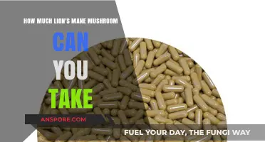 Lion's Mane Mushroom Dosage: Safe Daily Intake and Benefits Explained