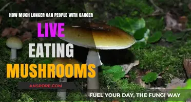 Mushrooms and Cancer: Extending Life Expectancy with Natural Remedies