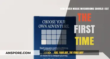 First-Time Magic Mushroom Dosage: A Beginner's Guide to Safe Tripping