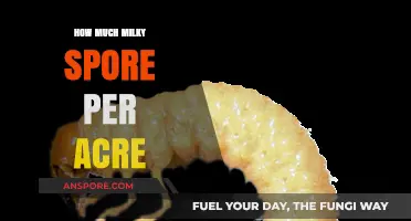 Effective Milky Spore Application Rates for Treating One Acre of Lawn