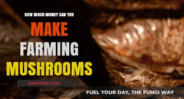 Profitable Mushroom Farming: Unlocking Income Potential in Fungal Cultivation