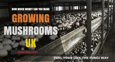 Profitable Mushroom Farming: UK Earnings Potential and Growth Opportunities