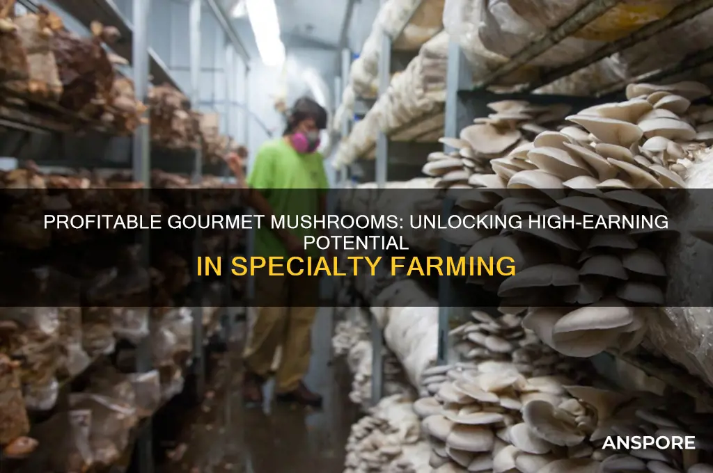 how much money can you make with gormet mushrooms