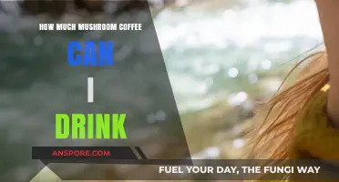 Mushroom Coffee Consumption: Safe Daily Limits and Health Benefits Explained