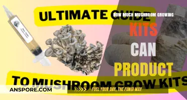 Maximizing Yield: How Much Can Mushroom Growing Kits Produce?