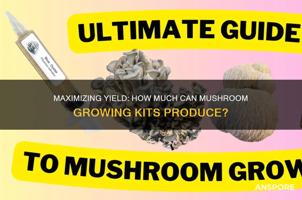 how much mushroom growing kits can product