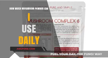 Daily Mushroom Powder Dosage: Safe Amounts for Optimal Health Benefits