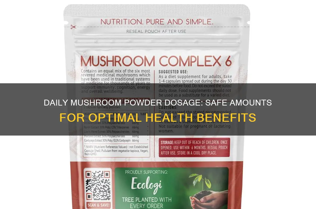 how much mushroom powder can i use daily
